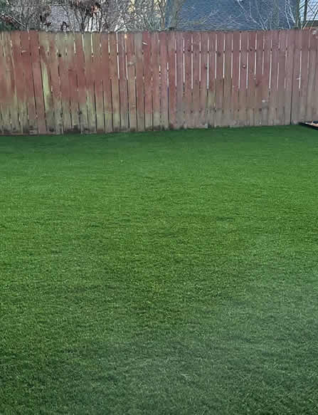 service-Artificial Turf Installation