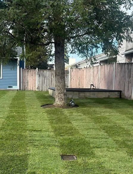 services-Irrigation System